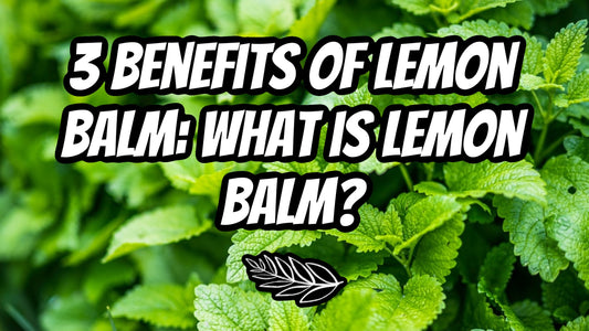 3 Benefits Of Lemon Balm: What Is Lemon Balm?